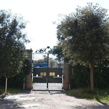 Villa Anselmi - Arteindiretta Livorno Ngoại thất bức ảnh