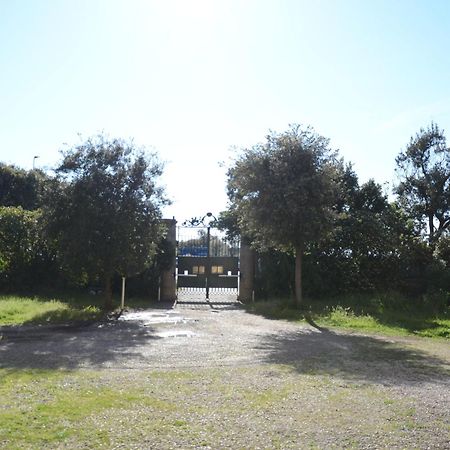 Villa Anselmi - Arteindiretta Livorno Ngoại thất bức ảnh